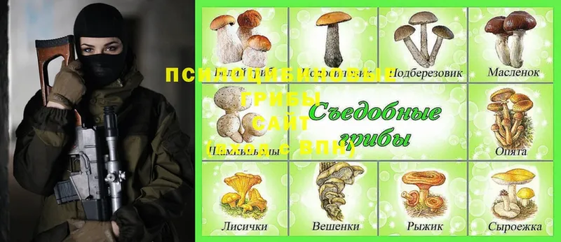 Галлюциногенные грибы Cubensis  купить наркотик  Ханты-Мансийск 